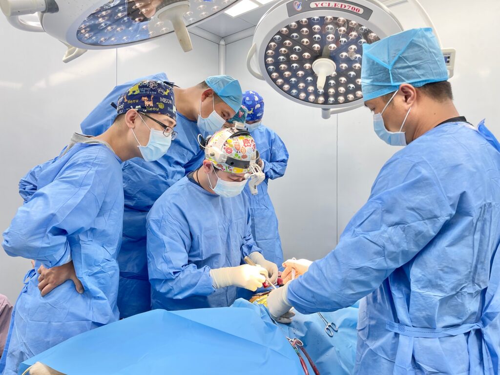 A team of veterinary surgeons in blue scrubs focusing on a hands-on orthopedic procedure during a professional surgical training workshop.