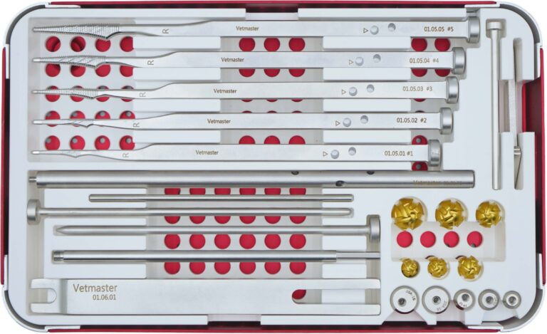 Vetmaster small animal total hip replacement surgical instrument kit, displaying comprehensive orthopedic tools organized in sterilization trays including broaches, impactors, and alignment guides.