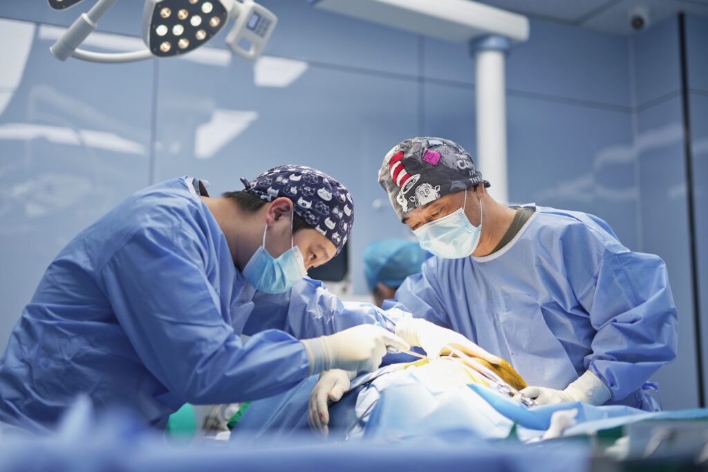 An expert veterinary surgeon guiding another professional during a hands-on surgical training workshop.