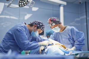 An expert veterinary surgeon guiding another professional during a hands-on surgical training workshop.